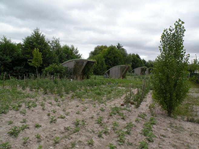  jardins familiaux, Ste Savine